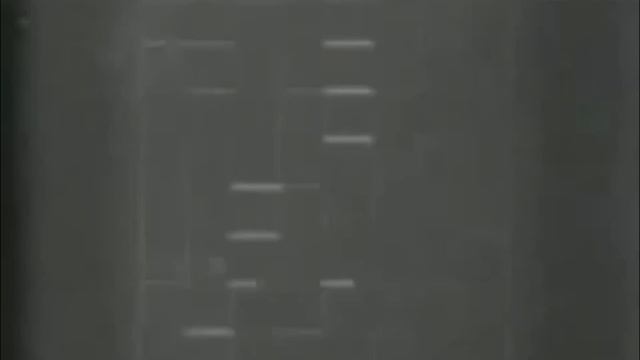 Mouse in the maze (1959) смотреть онлайн