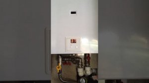 MIZUDO газовая колонка с электронной модуляцией пламени. (отзыв)