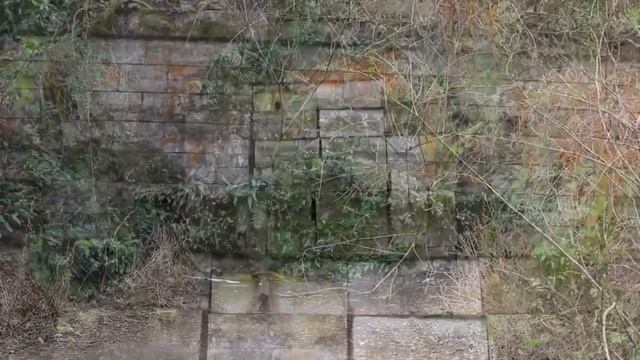 Tunel Inunaki - Najbardziej nawiedzone miejsce w Japonii? смотреть онлайн