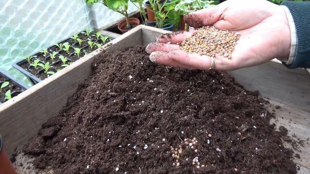 How to Propagate Pelargoniums (A Martin Masterclass) - Pots & Trowels смотреть онлайн