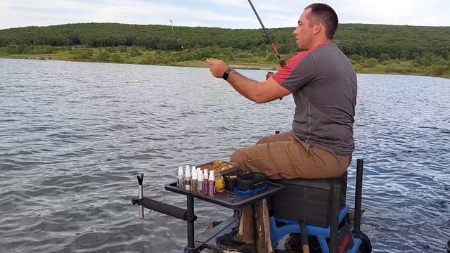 Карась на фидер✌️🫡.mp4 смотреть онлайн