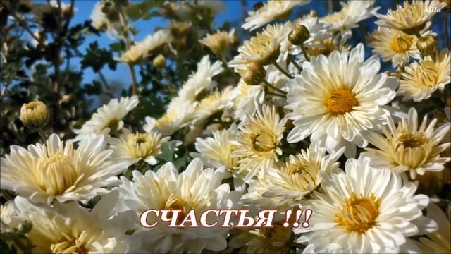 С днём Рождения,ВЕРА !!! смотреть онлайн