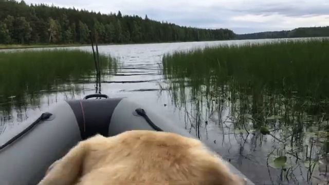 Адмирал 375S, по протоке смотреть онлайн