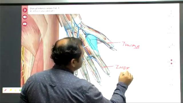 DAY26 LEARN TO MAKE ACUPUNCTURE PROTOCOL , ACUPUNCTURE FOR CLINICIAN & EXAM PREPARATION смотреть онлайн