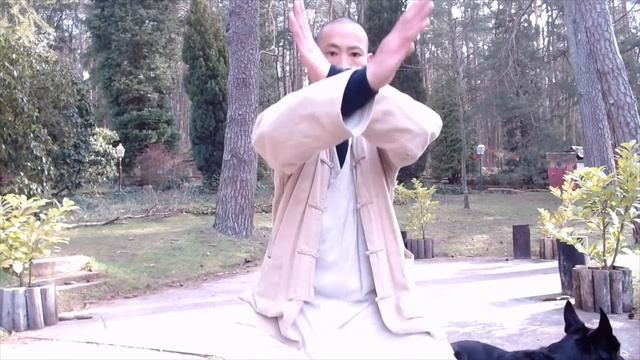 ? 6-Days Morning Practice ? Day 4: Stance Training (60 Min) смотреть онлайн