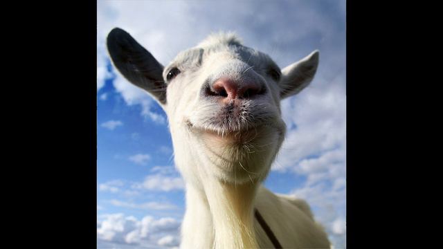 Goat Simulator Soundtrack | Goat Storm(Nyan Goat Mix)