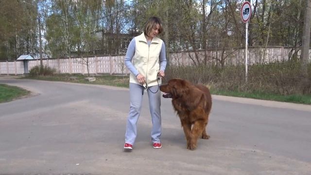 Хотошо Рус Кайлас Арьягар Алтанай Арсалан (Балу) 7,5 лет смотреть онлайн
