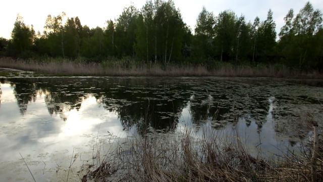 Чемровка 15.05.20015 г. смотреть онлайн