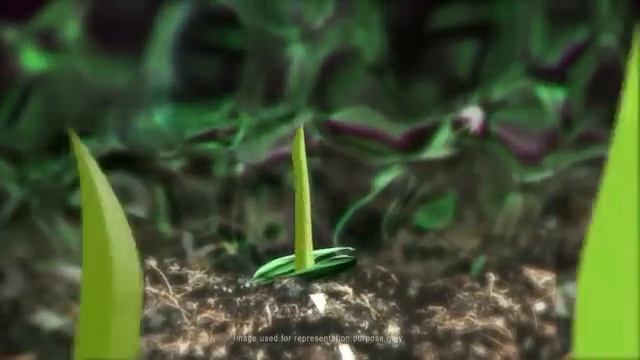 Canada Green Hydro Grass смотреть онлайн