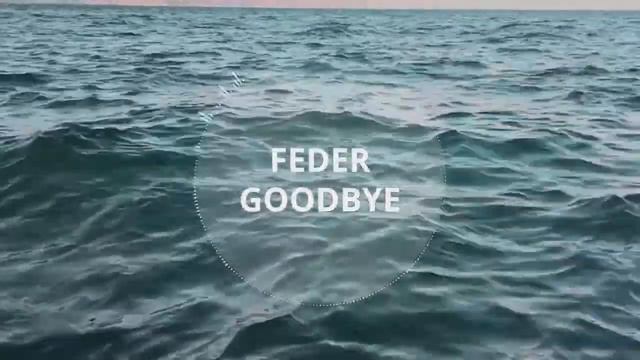 Feder-Goodbye