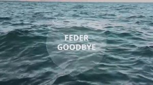 Feder-Goodbye