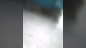 соседи тащат кошек в подъезд и кошки гадят..