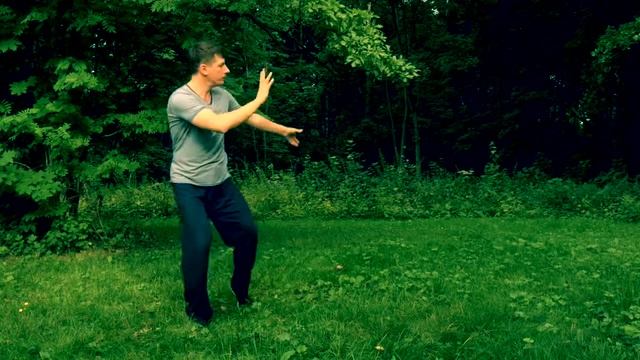 Короткая форма тайцзи 