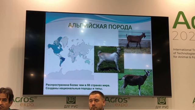 Агрос 2020. Выступление Санникова М. Ю., ведущего научного сотрудника ФГБНУ ВНИИплем. смотреть онлайн