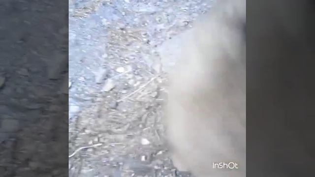 40 дней мальчишкам смотреть онлайн