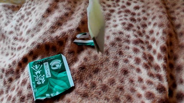 Волшебный настоящий зелёный чай из Японии