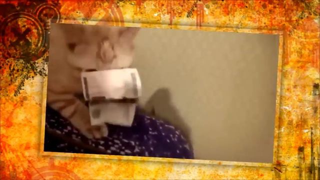 Котэ и деньги - своё не отдам! смотреть онлайн