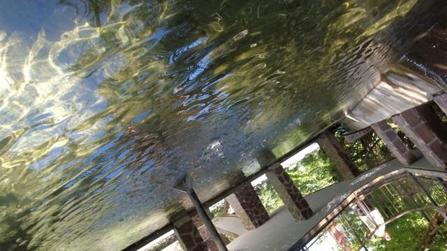 Обед в ресторане Абхазский двор ч4