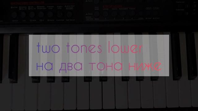 Аккорды киртана Матушки Гаурачандрики. kirtan chords. игра на фисгармонии, playing the harmonium смотреть онлайн