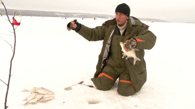 Рыбак Рыбаку 527 "Лещ Сурского водохранилища". смотреть онлайн