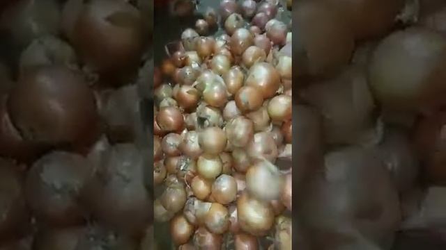 Лук Оптом Волгоград смотреть онлайн