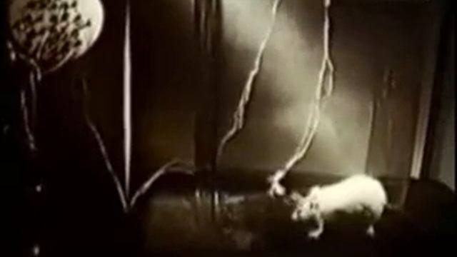 Методы исследования ЦНС