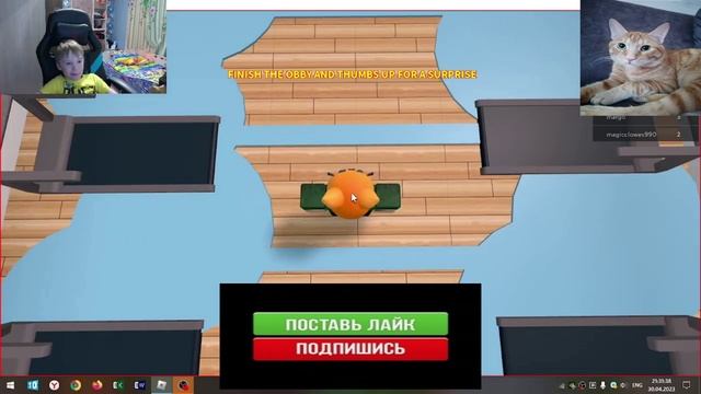 Roblox cat смотреть онлайн