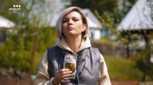 Ревус - надежная защита томатов от фитофтороза. Инструкция и особенности применения