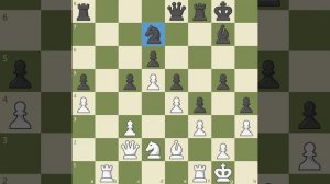 Открытые, закрытые и полузакрытые позиции