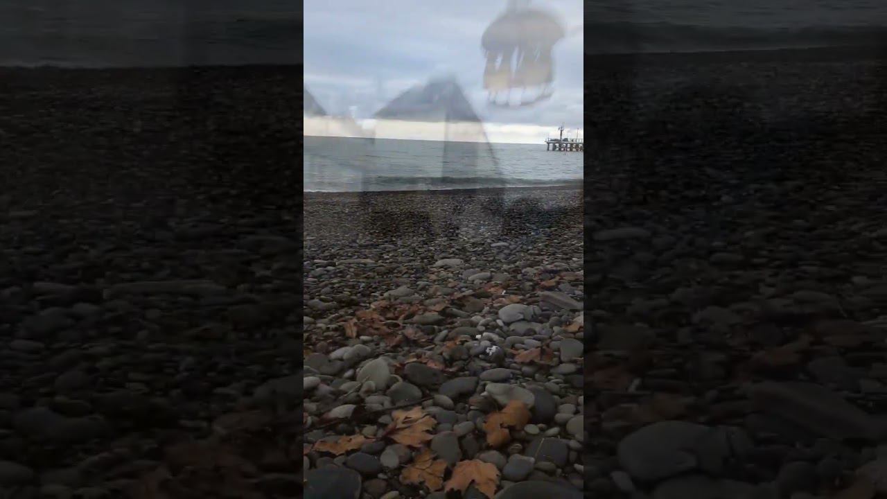 16.12.22 г.Погода Лазаревское #shorts #лазаревское2022 #погодалазаревское #погодасочи #сочи смотреть онлайн