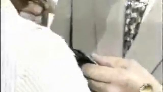 Telenovella, Perla Negra, Cecilia Maresca, Norberto Diaz, Alfredo Zemma смотреть онлайн