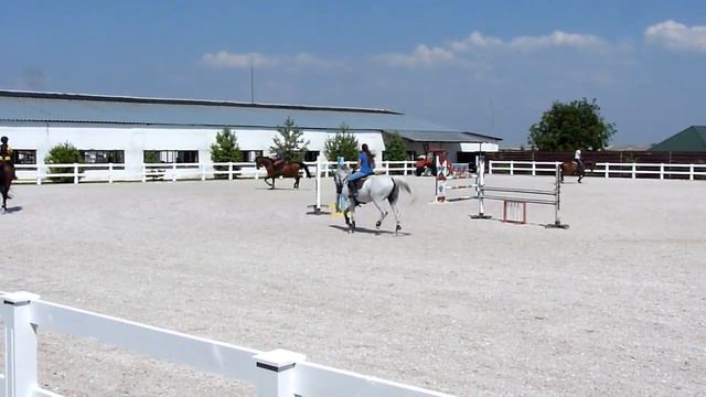 Занятие конным спортом Equestrian Sports