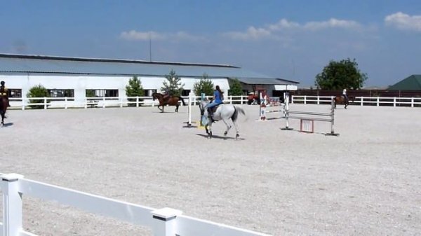 Занятие конным спортом Equestrian sports