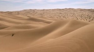 Monster Energy    Doonies3 Official HD