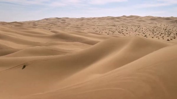 Monster Energy Doonies3 Official HD