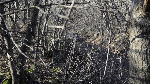 Chevrolet Avalanche.