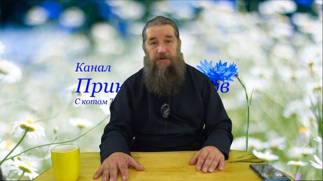 Красивая и некрасивая: кому жить легче? (окончательные выводы) часть 2 смотреть онлайн