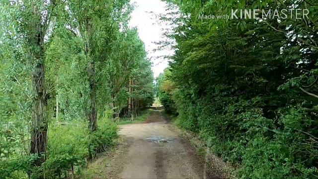 Навигатор Завёл, Выгрузка Аккумуляторов, Дальнобой С Нуля,Выработал Всё Время смотреть онлайн