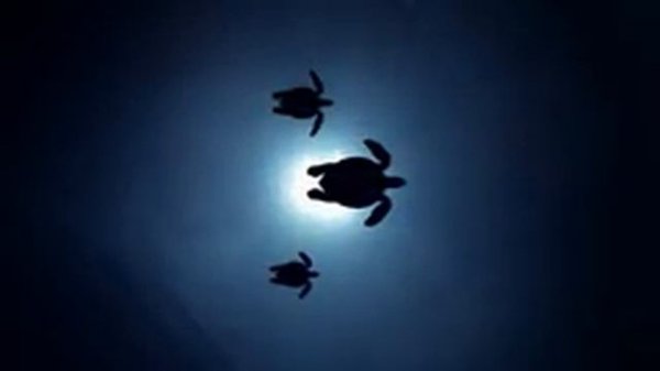 Sleeping video for relaxation and sleep. Best Sleep Music. Усыпляющее видео для релакса и сна.