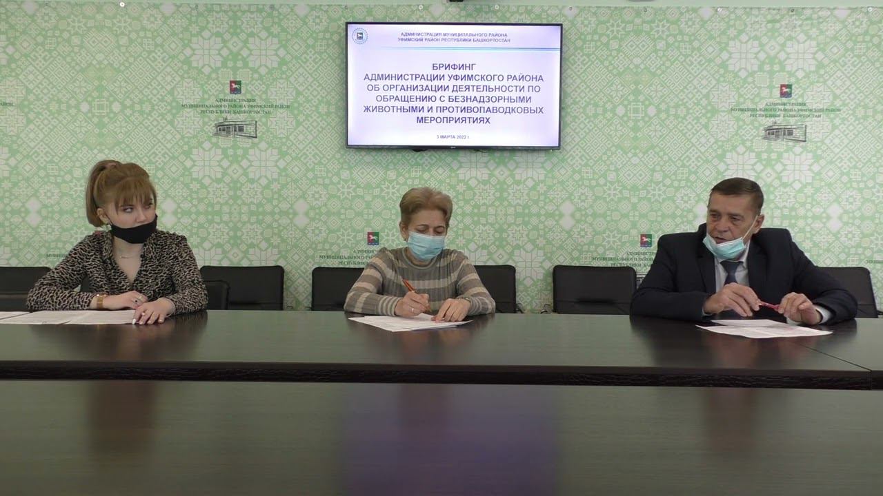 Брифинг администрации Уфимского района по контролю за безнадзорными животными и паводку 03.03.2022 смотреть онлайн