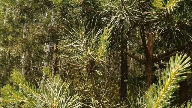 Уборка с умом