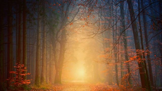 Relaxing and soothing music (расслабляющая и успокаивающая музыка) смотреть онлайн