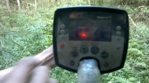 2012 08 12 Металлоискатель Minelab Explorer SE Pro