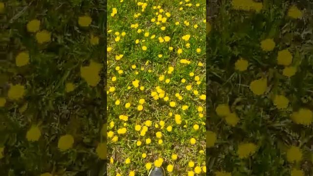 Что посетить в Армении - Гюлагарак, Степанаван. Gyulagarak, Stepanavan-The nature of Armenia. смотреть онлайн