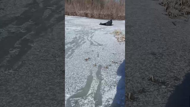 рыбалка в пруду деревенском смотреть онлайн