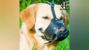 Как выбрать намордник для собаки | Советы эксперта