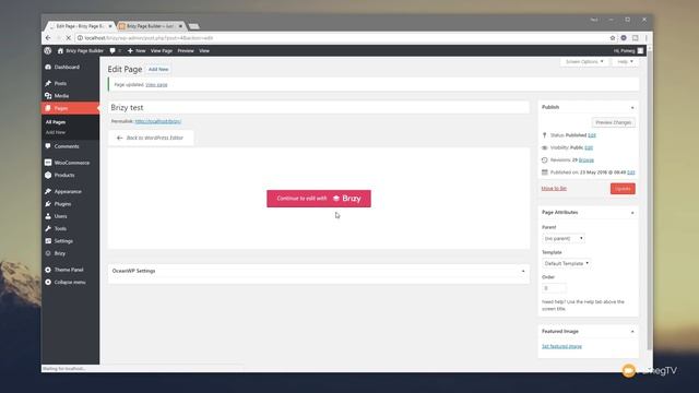 Brizy Page Builder WordPress Tutorial - Theme Headers & Footers смотреть онлайн
