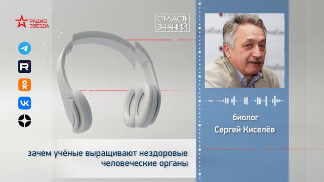 Зачем учёные выращивают нездоровые человеческие органы? Лекция биолога Сергея Киселёва смотреть онлайн