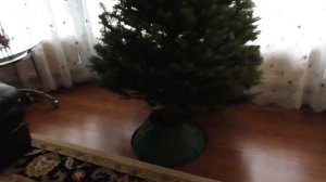СТАВИМ ЕЛКУ! Новый Год и Рождество в Америке