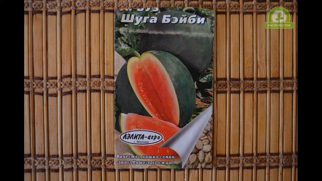 Обзор сортов семян арбузов #1 смотреть онлайн